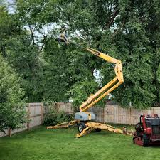 Best Lawn Drainage Solutions  in Stanford, KY