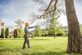 Best Landscape Design and Installation  in Stanford, KY