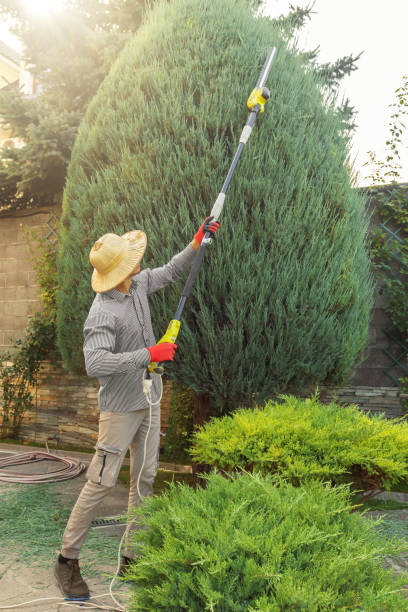 Best Lawn Maintenance Plans  in Stanford, KY